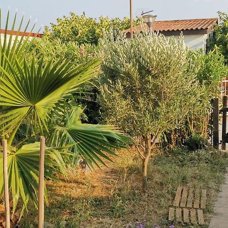 Chalet En Bois "Le Libellule" Sigean Εξωτερικό φωτογραφία